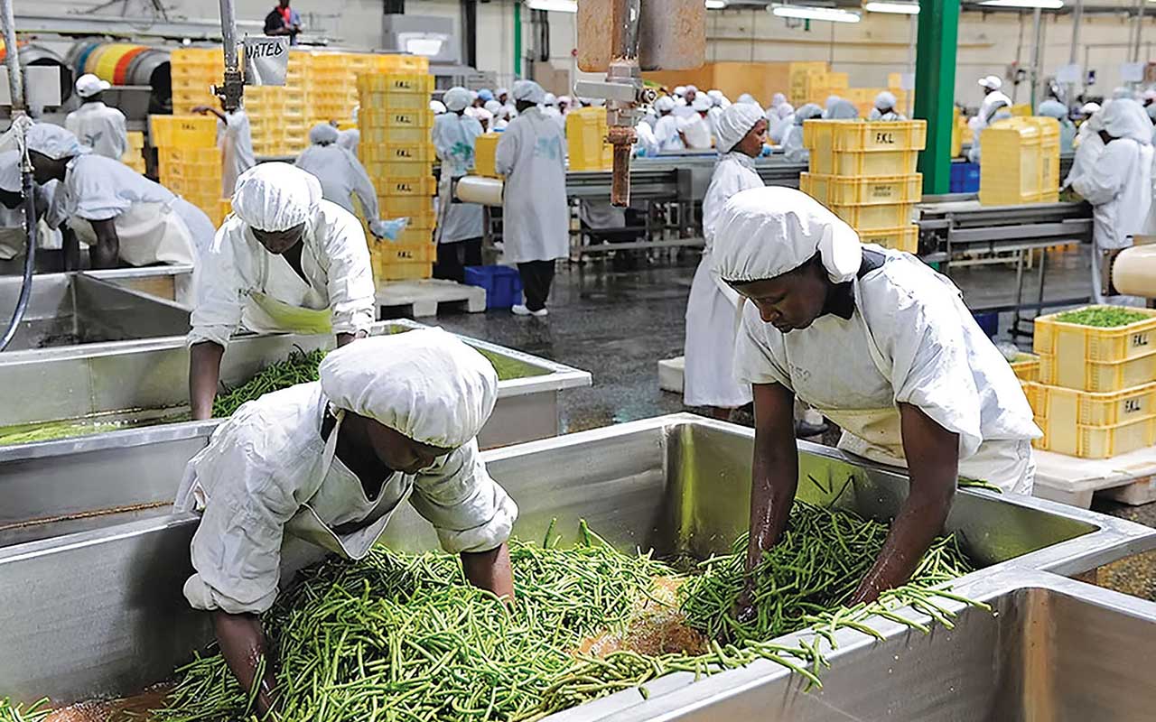 agro processing